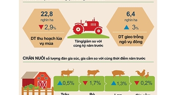 Tình hình kinh tế xã hội tỉnh Phú Thọ tháng 11/2023